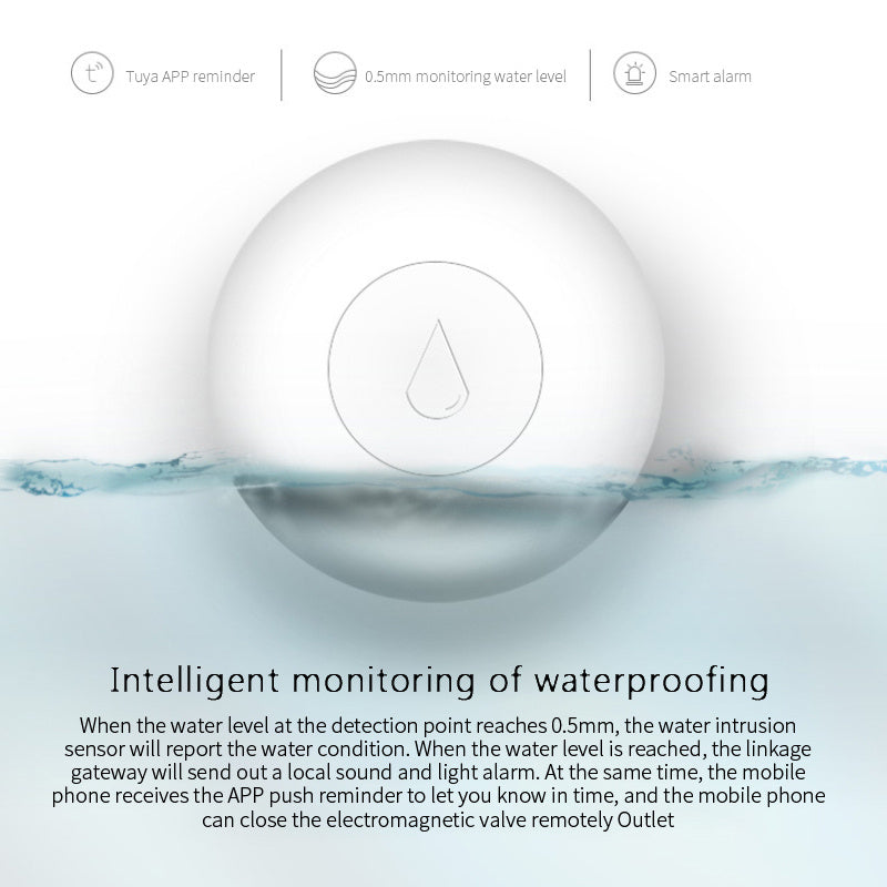 Wireless Zigbee Water Leak Detector for Smart Home Protection